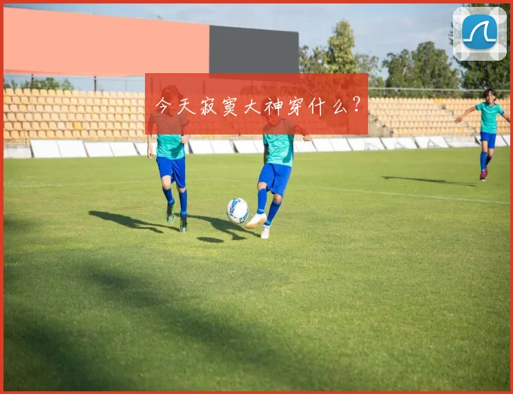 今天寂寞大神穿什么？