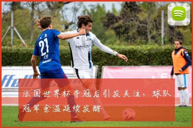 法国世界杯夺冠后引发关注,球队冠军余温延续发酵