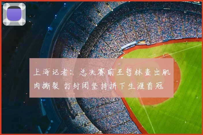上海记者:总决赛前王哲林查出肌肉撕裂 打封闭坚持拼下生涯首冠